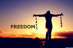 freedom-series-logo.jpg